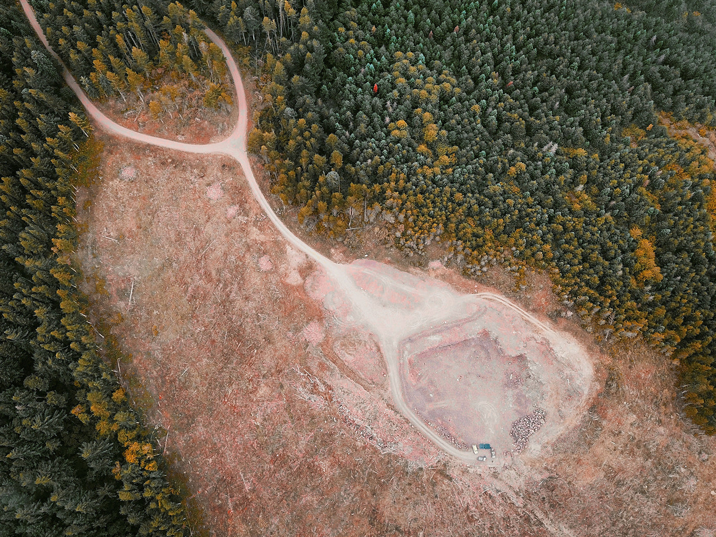 Aidez à planter 1 million d'arbres au Canada