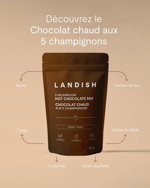 Chocolat chaud aux 5 champignons