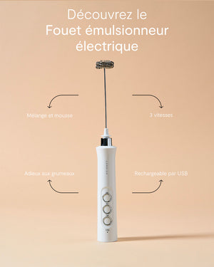 Fouet émulsionneur électrique