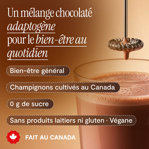 Mélange chocolat 5 champignons