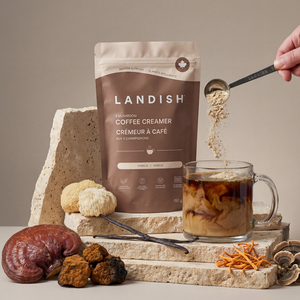 Crémeur à café aux 5 champignons