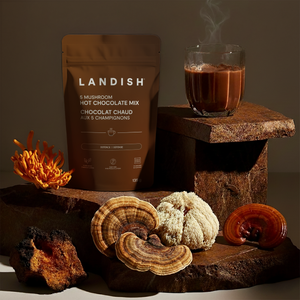 Chocolat chaud aux 5 champignons