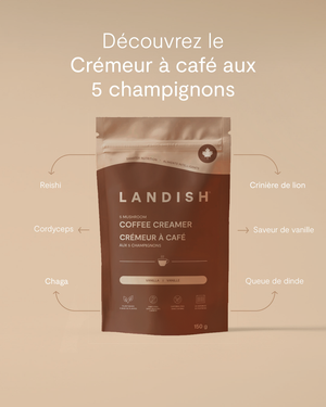 Crémeur à café aux 5 champignons