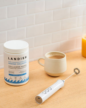 Fouet émulsionneur électrique