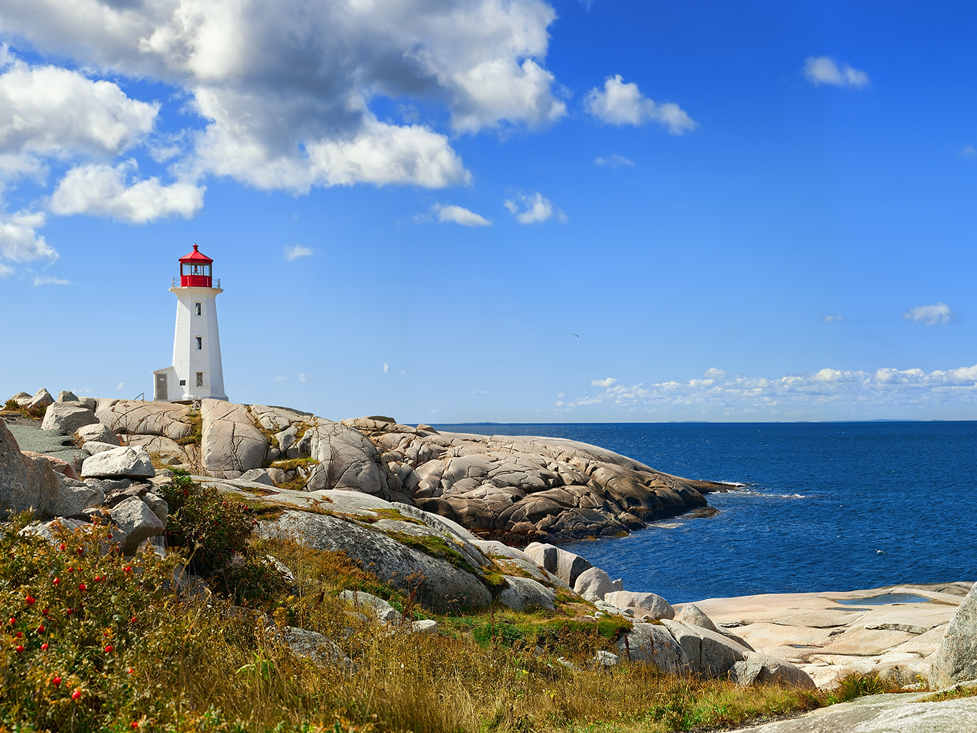 Collagène marin Landish: une utilisation intelligente des ressources