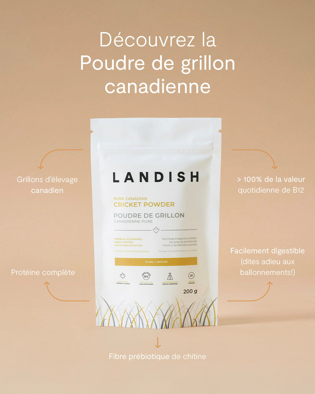 Poudre de grillon canadienne pure