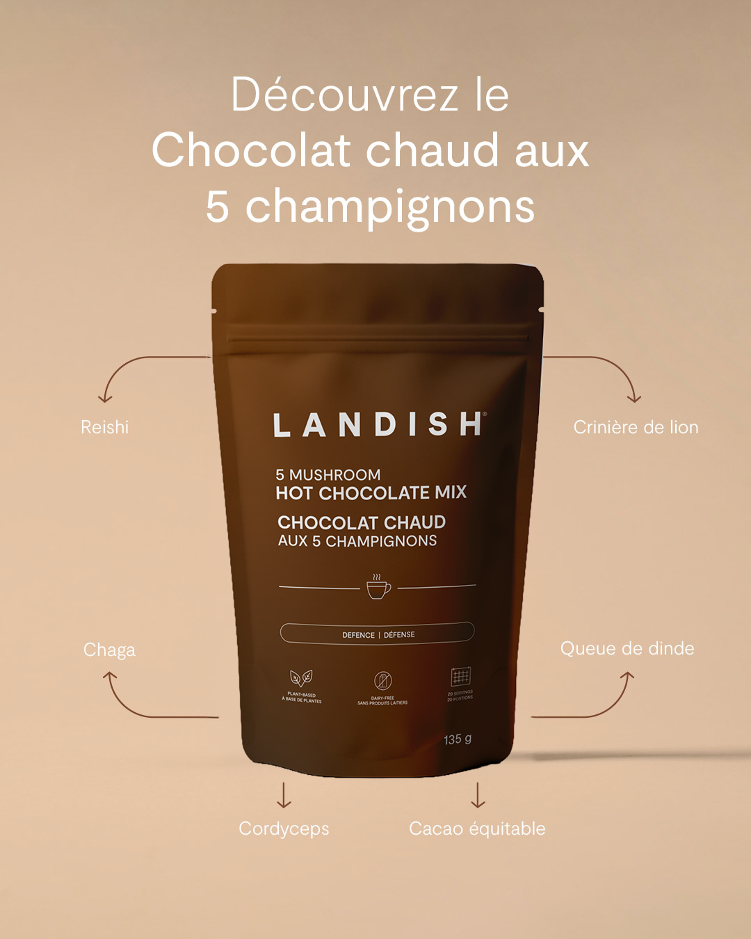 Chocolat chaud aux 5 champignons