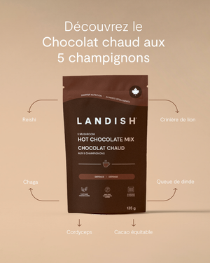 Chocolat chaud aux 5 champignons