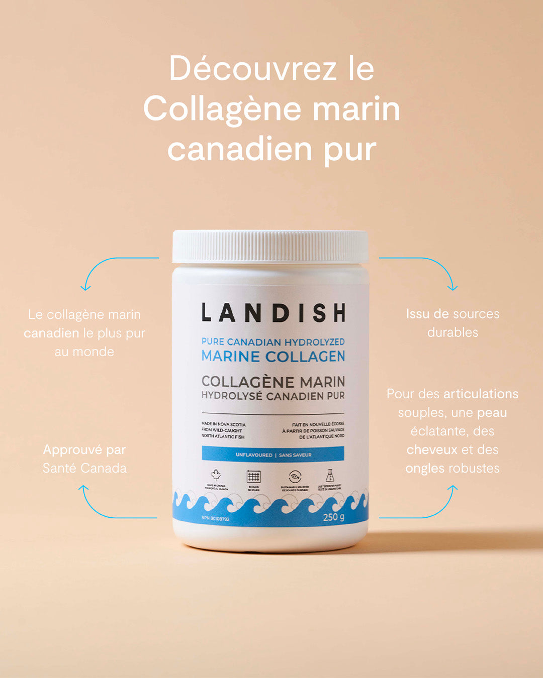 Collagène marin canadien pur - Landish