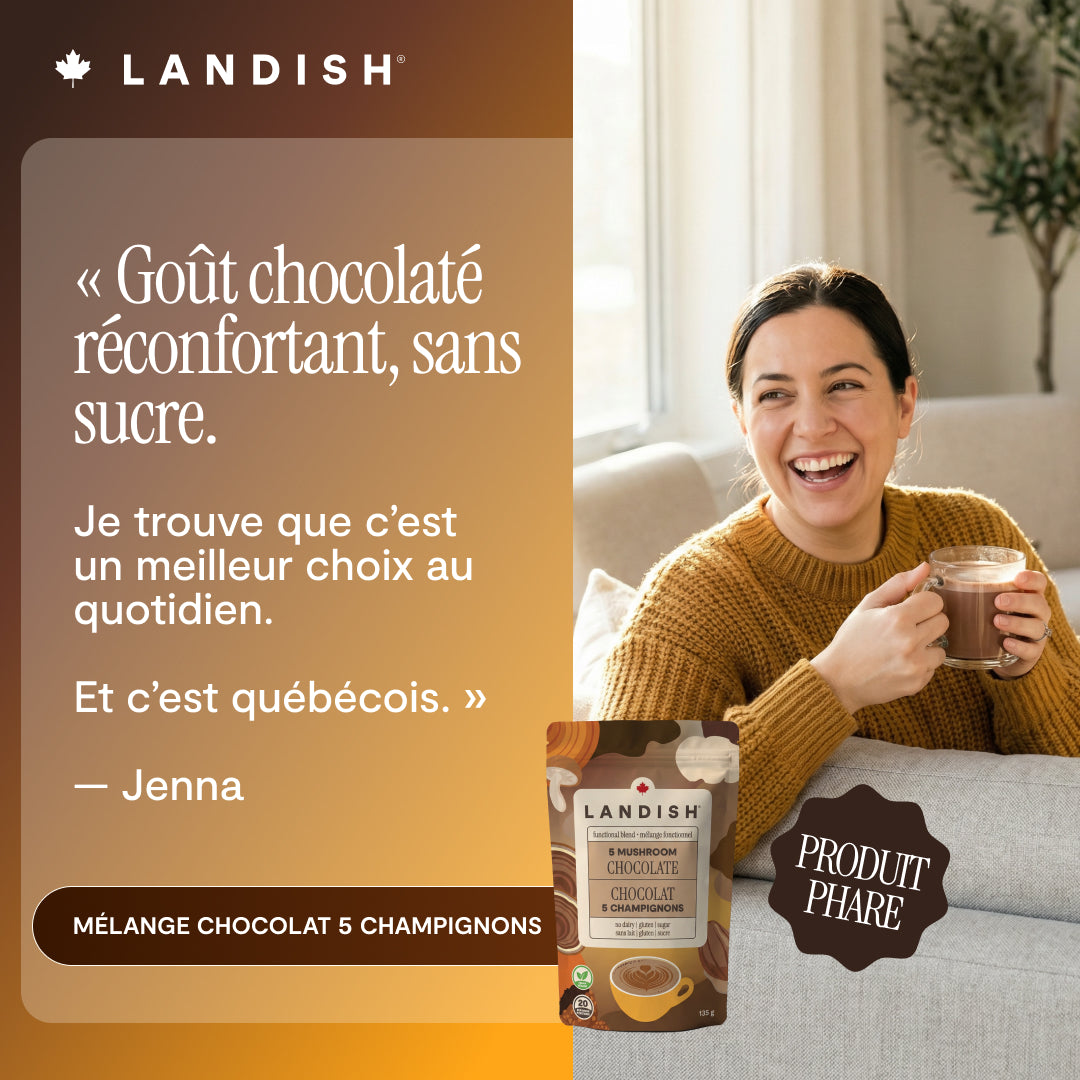 Mélange chocolat 5 champignons