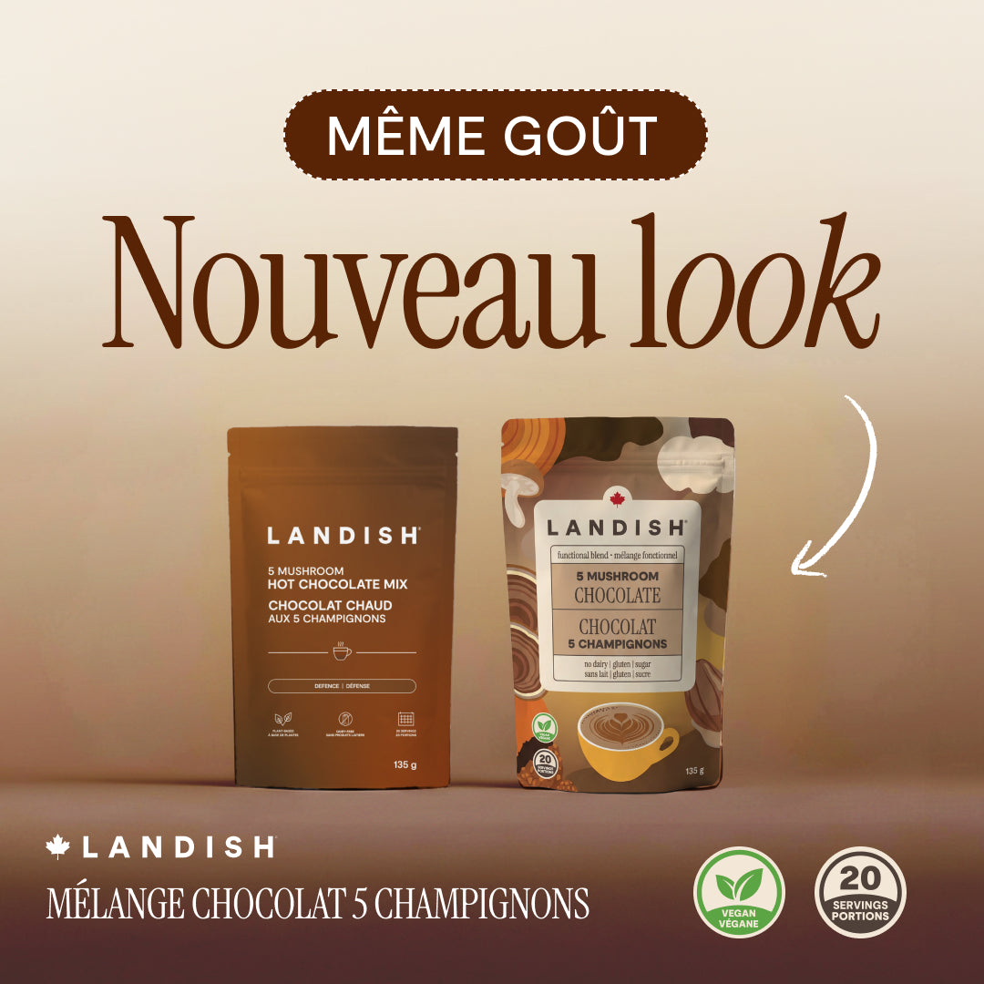 Mélange chocolat 5 champignons