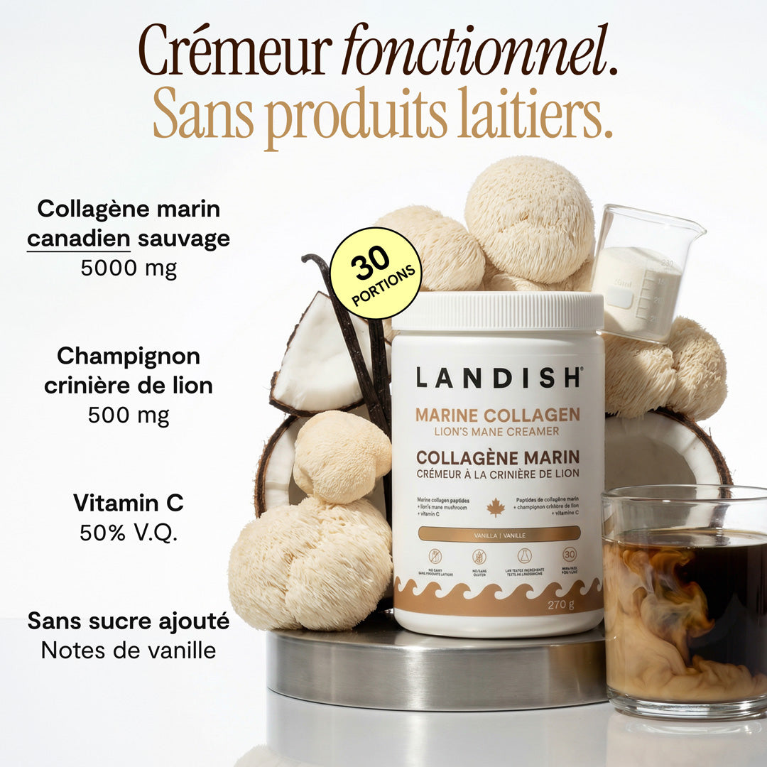 Collagène marin crémeur à la crinière de lion