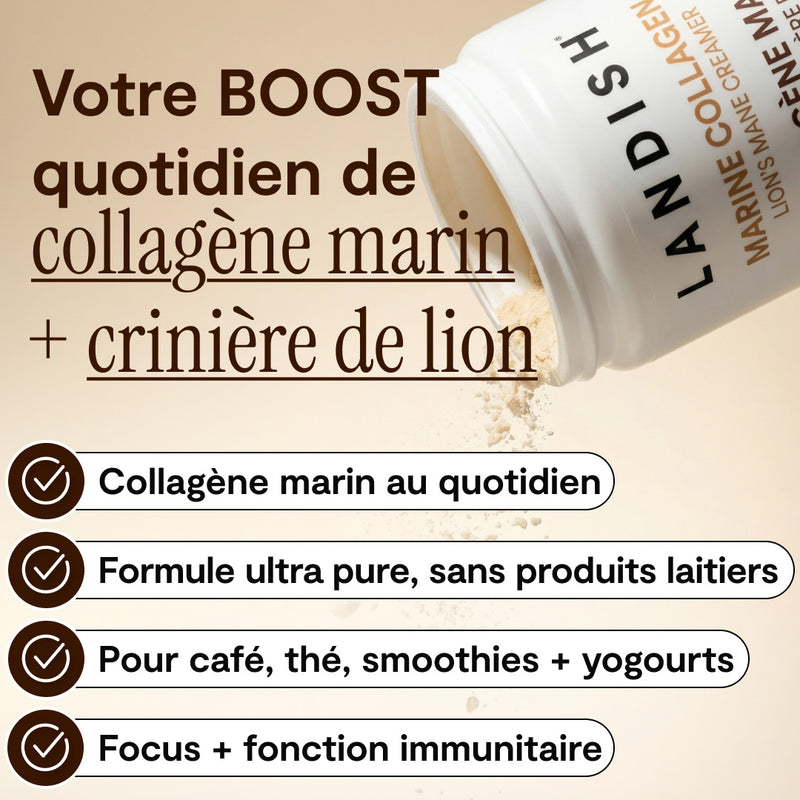 Collagène marin crémeur à la crinière de lion