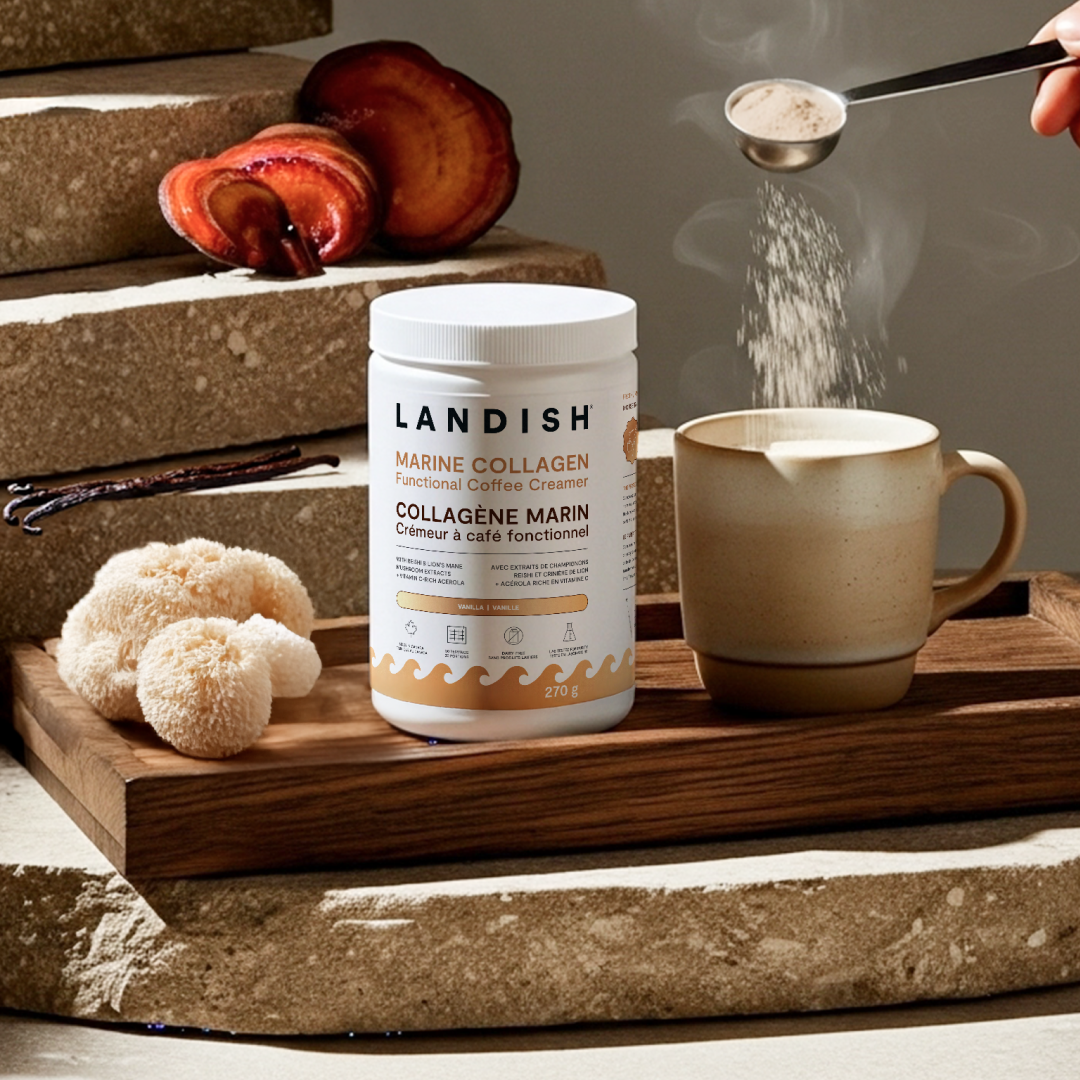 Collagène marin crémeur à café