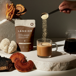 Crémeur à café aux 5 champignons