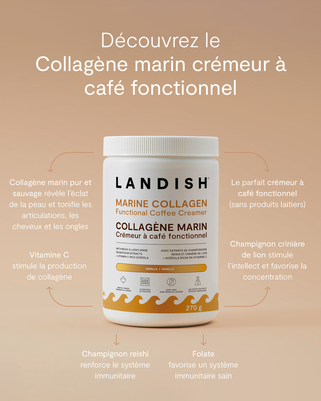 Collagène marin crémeur à café