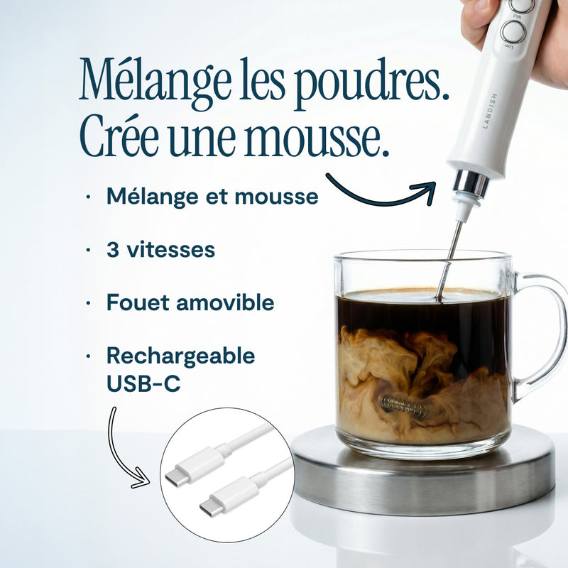 Fouet émulsionneur électrique