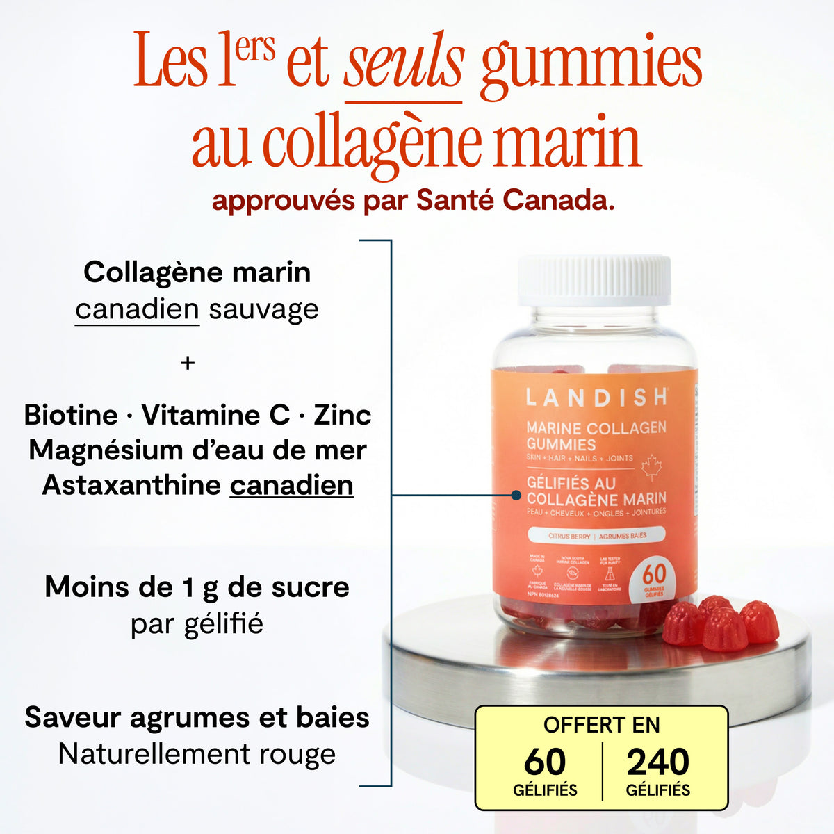 Gélifiés au collagène marin
