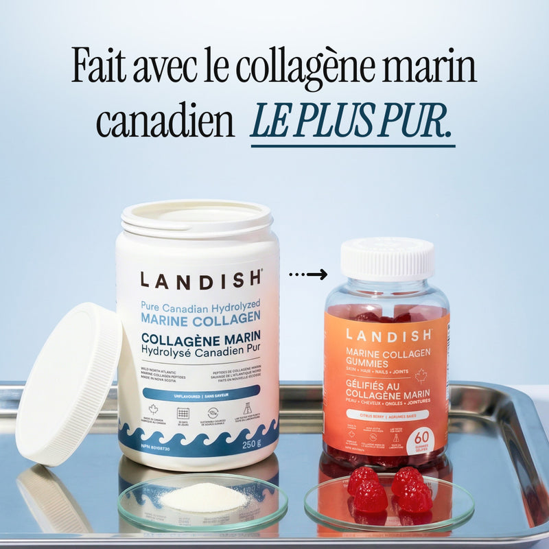 Gélifiés au collagène marin