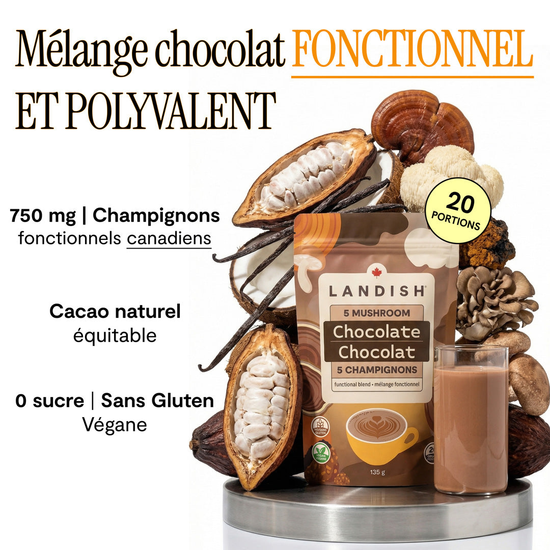 Mélange chocolat 5 champignons