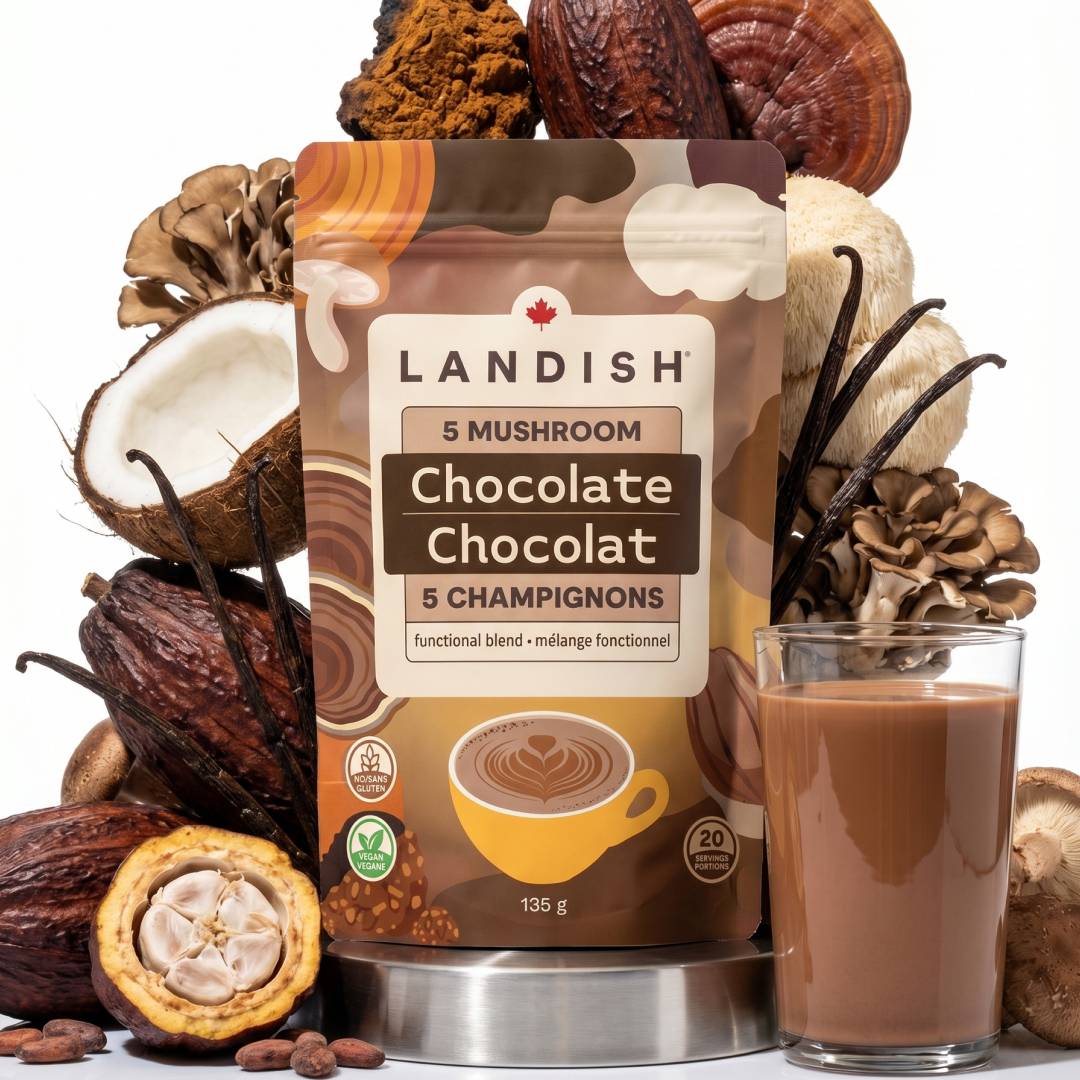 Mélange chocolat 5 champignons