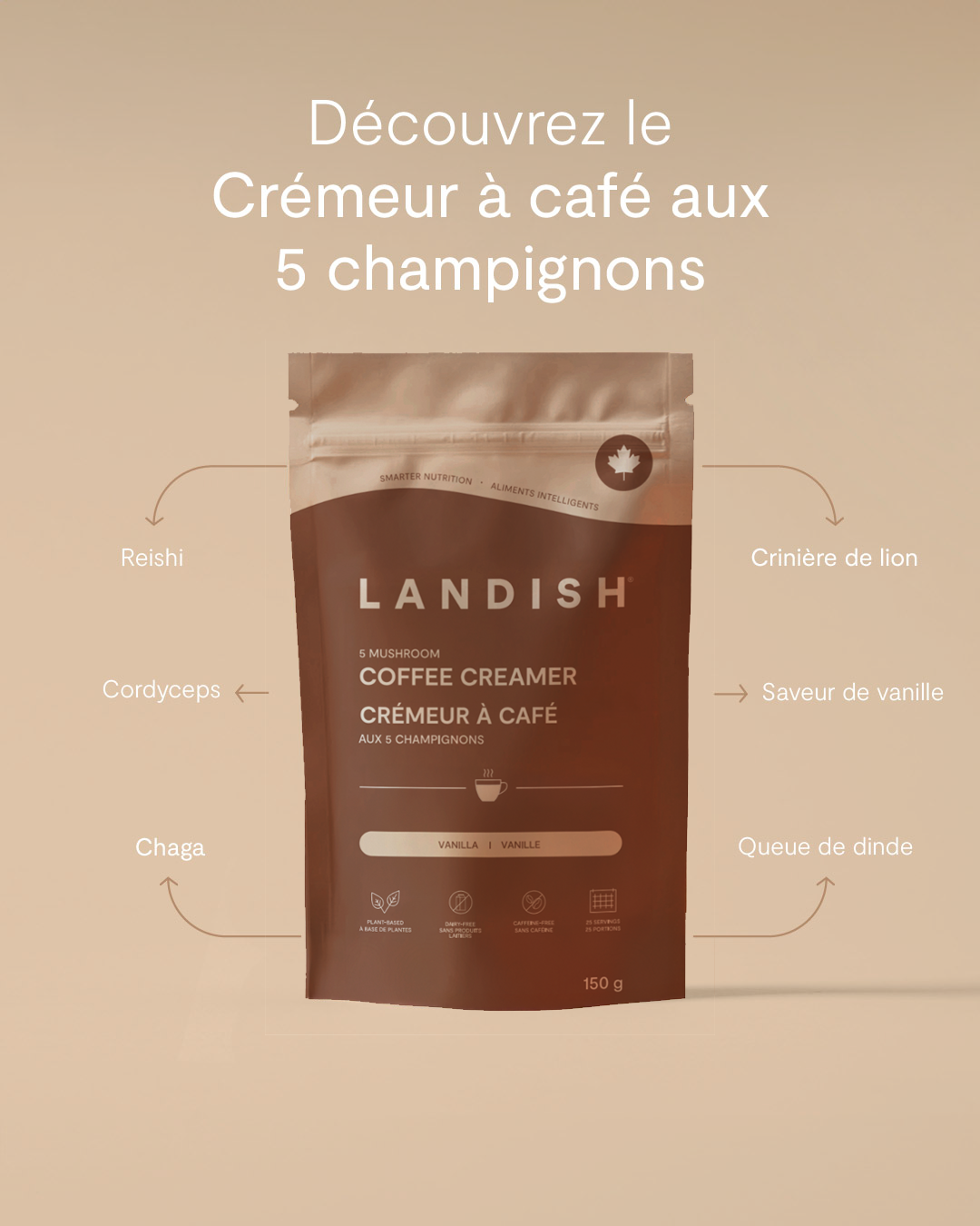 Crémeur à café aux 5 champignons