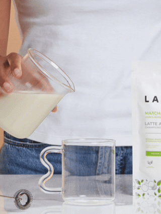 Fouet émulsionneur électrique