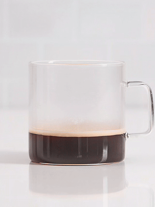 Fouet émulsionneur électrique