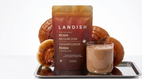 NOUVEAU | REISHI