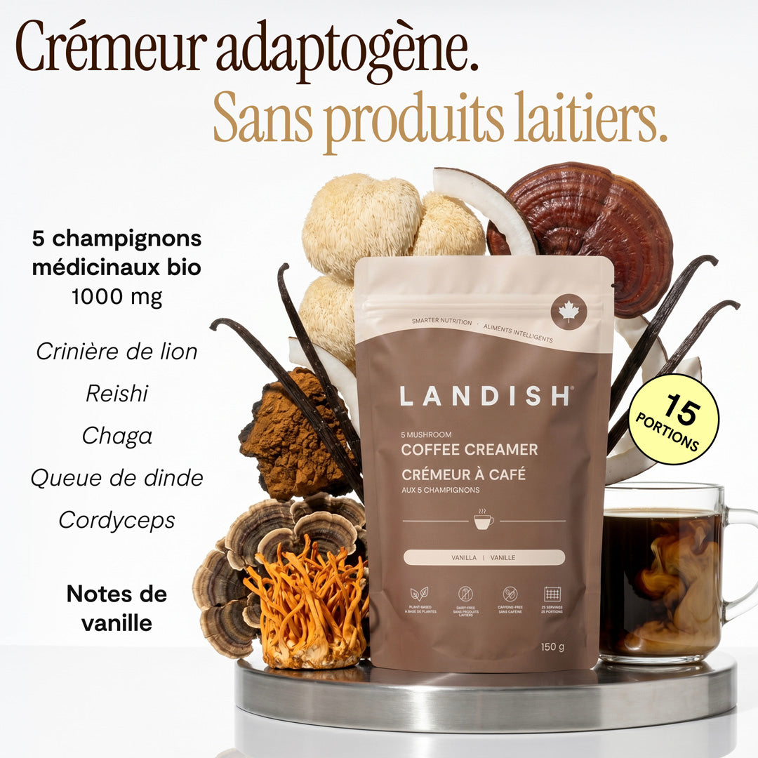 Crémeur à café aux 5 champignons