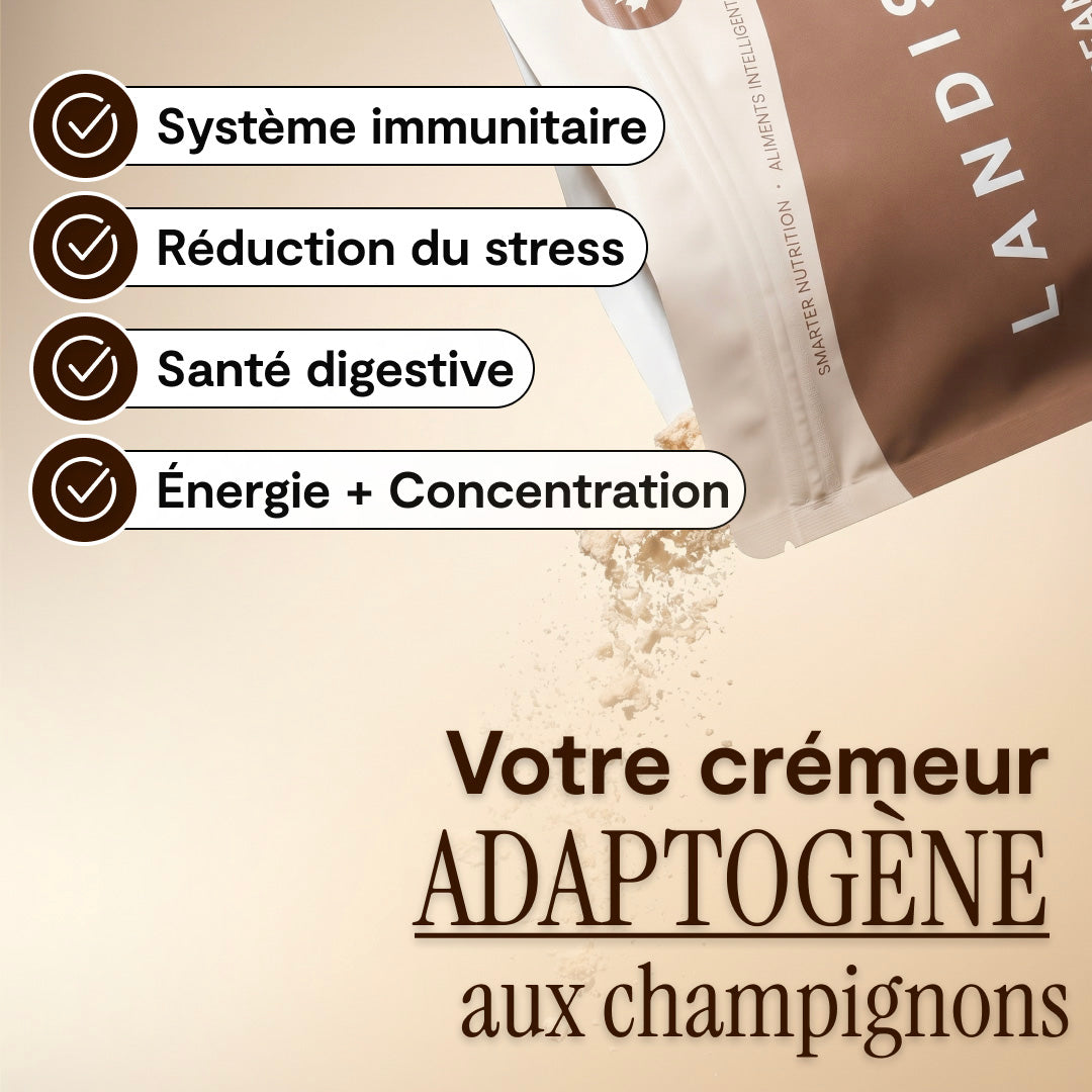 Crémeur à café aux 5 champignons