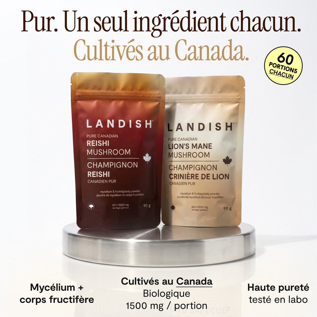 [ Ensemble ] Champignons canadien pur