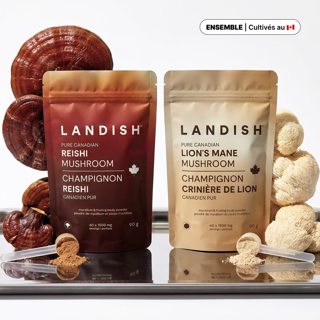 [ Ensemble ] Champignons canadien pur