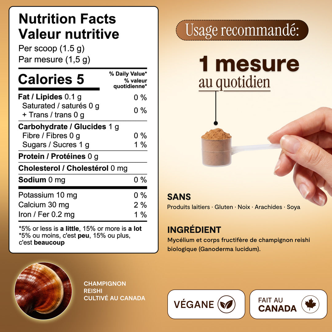 Champignon reishi canadien pur