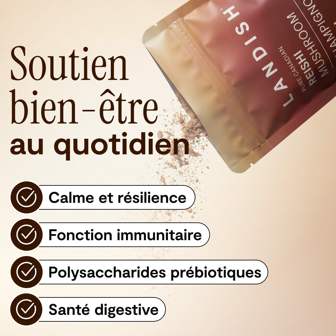 Champignon reishi canadien pur