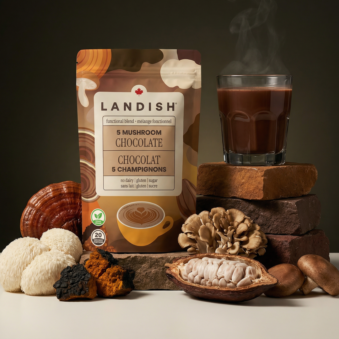 Mélange chocolat 5 champignons