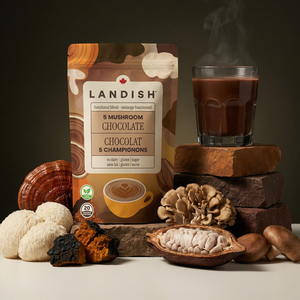 Mélange chocolat 5 champignons